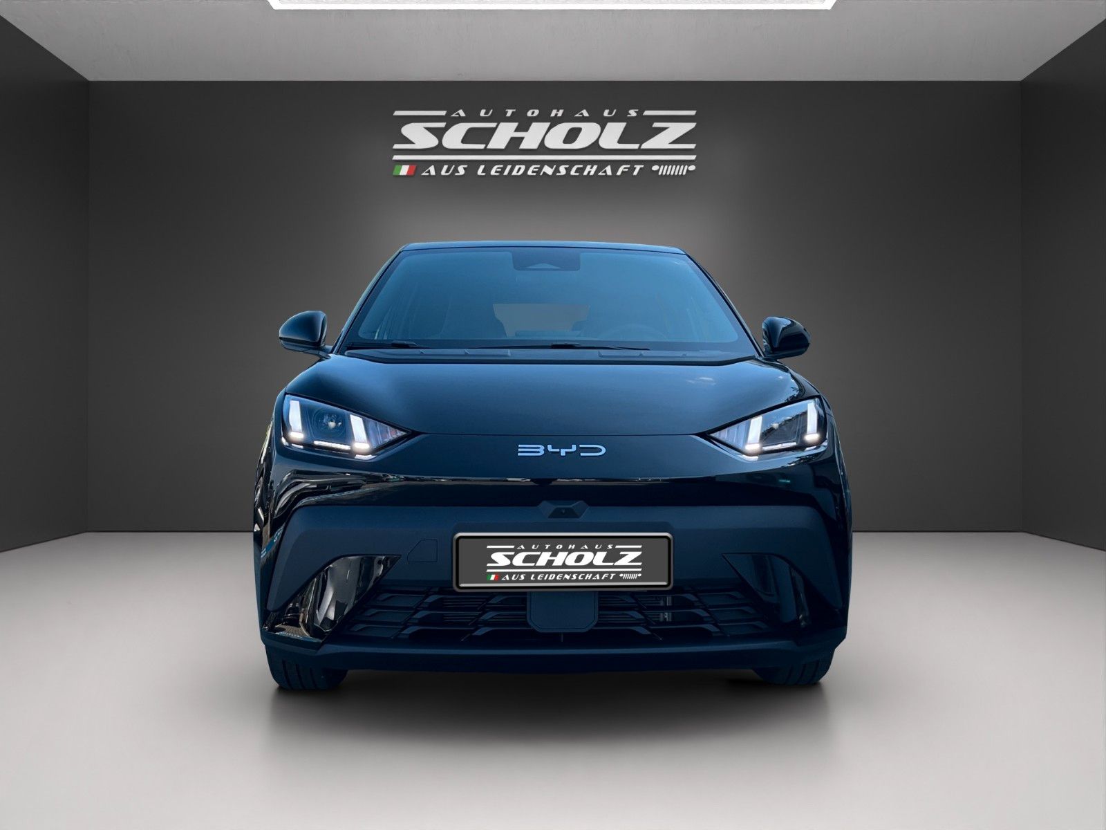 BYD Dolphin Surf Comfort 43kWh imagem 2