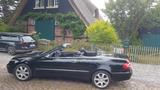 Mercedes-Benz CLK 240 ELEGANCE Elegance - Mercedes-Benz CLK 240: Cabrio