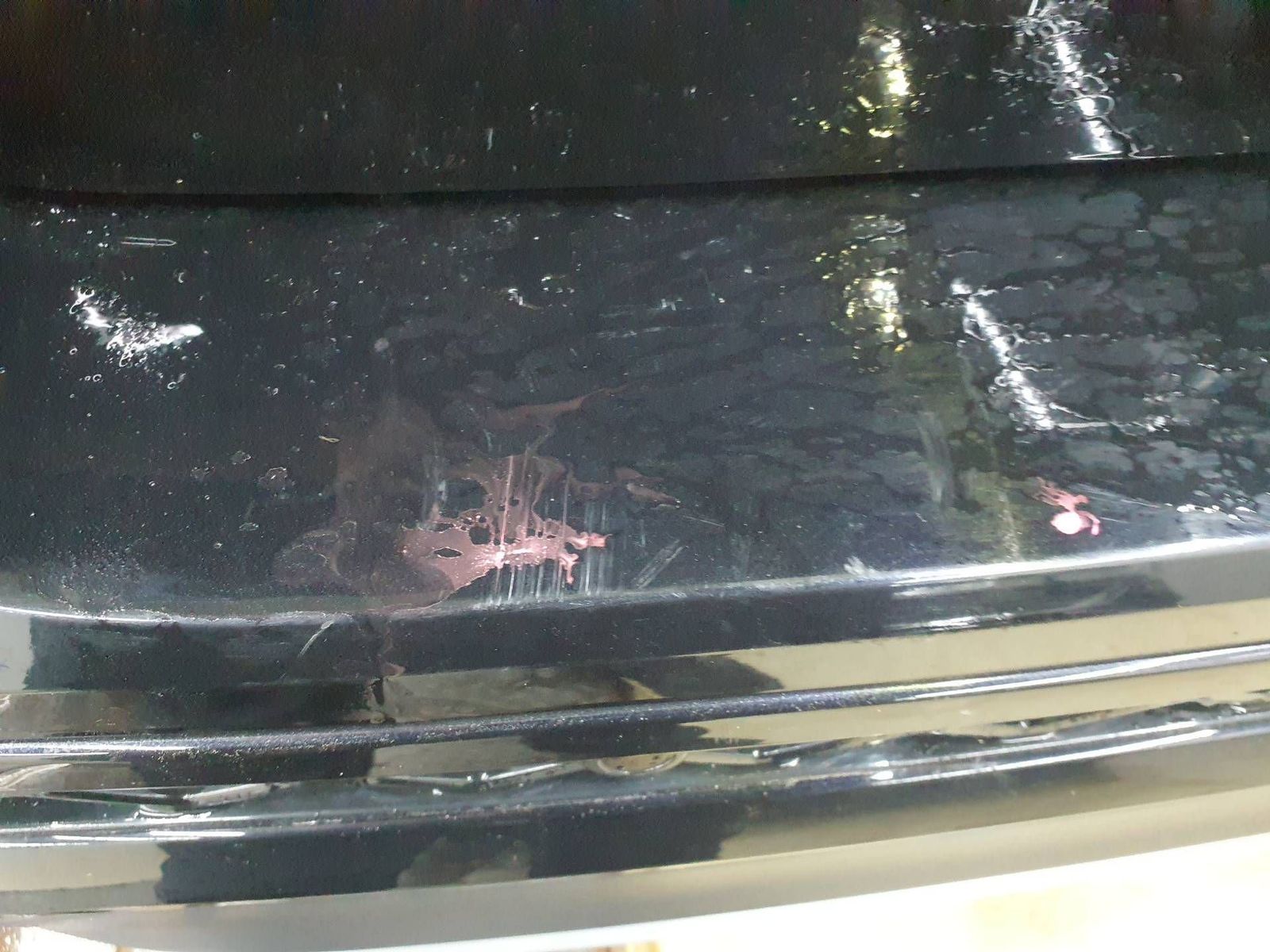 Volkswagen T-Cross - Bild 19