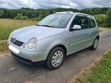 Volkswagen Lupo 1.4 60 ps Oxford  - Volkswagen Lupo: Oxford