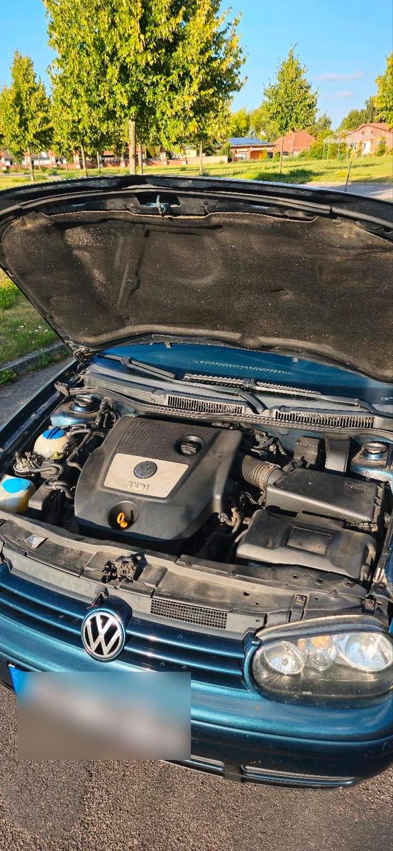 Volkswagen Golf 2005 — photo 7