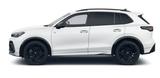 Volkswagen Tiguan R-Line 2,0 l TSI OPF 4MOTION 150 kW (204 - Volkswagen: Standheizung