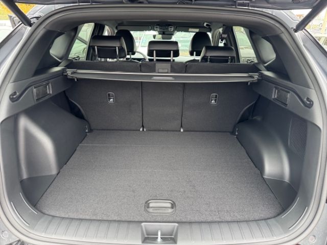 Fahrzeugabbildung Hyundai Tucson FL HEV (MY25) N-LINE Sitz-Paket, Assisten