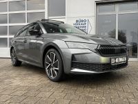 Skoda Octavia Combi 2.0 TDI DSG Sportline STDHZ 5J GAR bei Autohaus Landmann & Maier OHG