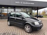 Fiat Panda 1.2 8V Dynamic - gebrauchte Fiat Panda aus dem Jahr 2009