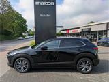 Mazda CX-30 Selection HUD Navi Memory Sitze Soundsyste - Mazda CX-30 Gebrauchtwagen in Köln