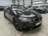 BMW 220 i M-Sport AUT LEDER NAVI PDC - BMW Unfallwagen