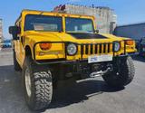 Hummer HUMMER H1 6.5 v8 TDS 4WD PICK UP OMOLOGATO AUTOC - Hummer aus 2004