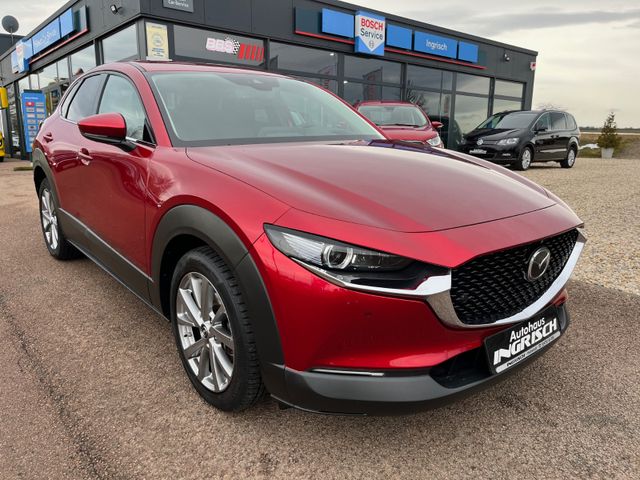 Mazda CX-30 Selection AWD mit LED+Head-Up+AHK+ALU+NAVI