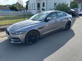 Jaguar XE P250 SE Automatik/Leder/Meridian/Black Pack - Jaguar XE SE mit Benzin-Antrieb