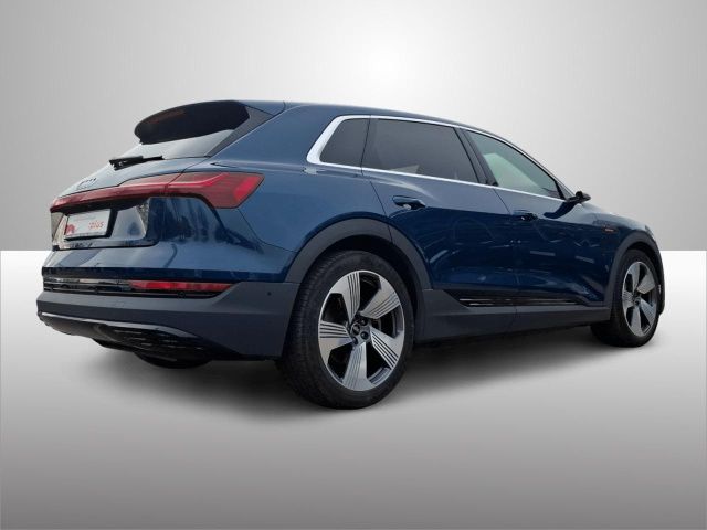 E-TRON 50 QUATTRO AZV+B&O+MATRIX+CAM+NACHT