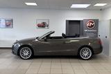 Audi A5 Cabriolet 2.0TDI *S-Line 19"*KeylGO*BiXen*ACC - : 19