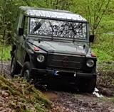 Mercedes-Benz Mercedes 250 GD Wolf - Mercedes-Benz S 250 Gebrauchtwagen