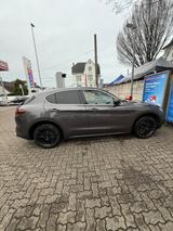 Alfa Romeo Stelvio 2.0 Turbo 16V 206kW First Edition AT... - Alfa Romeo Stelvio First-Edition mit Benzin-Antrieb