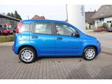 Fiat Pandina PANDA ICON HYBRID 1.0 GSE 65PS PDC RADIO - Fiat New Panda: Kleinwagen