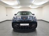 Cupra Tavascan VZ 4Drive Adrenaline Below Zero WR - Cupra Tavascan: Leasing