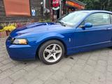 Ford SVT Mustang cobra terminator. unfallfrei.  - gebrauchte Ford Mustang aus dem Jahr 2003
