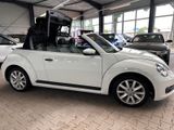 Volkswagen Beetle Cabriolet Basis BMT,Automatik,1.HAND - Volkswagen Beetle mit Diesel-Antrieb: Cabrio