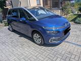 Citroën C4 Picasso BlueHDi 150 Stop&Start SHINE SHINE - Citroën C4 Picasso: 7sitzer