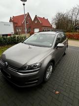 Volkswagen Golf 1.6 TDI BlueMotion Comfortline Variant ...