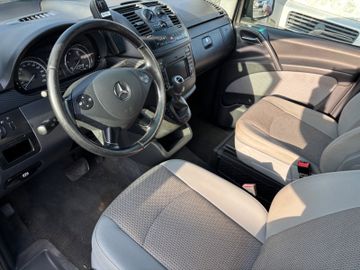 Mercedes Viano - 11