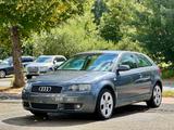 Audi A3 1.6 Ambition Klima*Sport*TÜV-Neu*Audisystem - Audi A3 aus 2004: 1.6