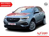Opel Grandland X 1.2 AppConnect AHK Sitzheizung PDC - Opel Grandland (X) Gebrauchtwagen