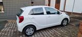 Kia Picanto 1.2 Edition 7, 84PS - Kia Picanto: Ps