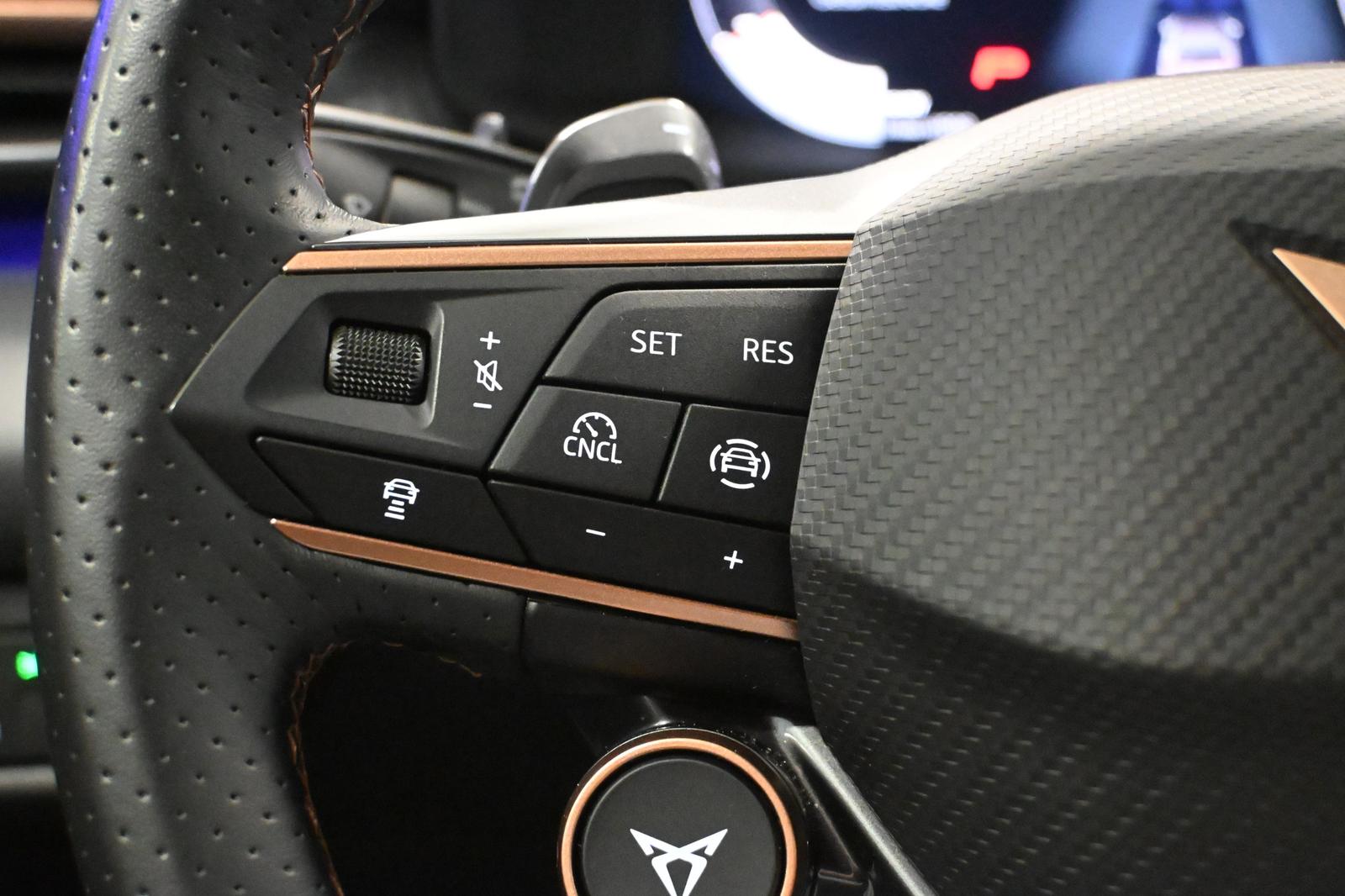Cupra Terramarr *KEYLESS*MEMORY*LED*HEAD-UP*360°KAMERA