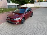 Volkswagen Golf 1.6 TDI DSG/Großes Navi/SH/KeyLessGo - Volkswagen Golf: Gross