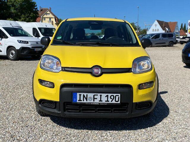 Fiat Panda Base