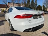 Jaguar XF Pure + Klima + 8 fach bereift - Jaguar Gebrauchtwagen