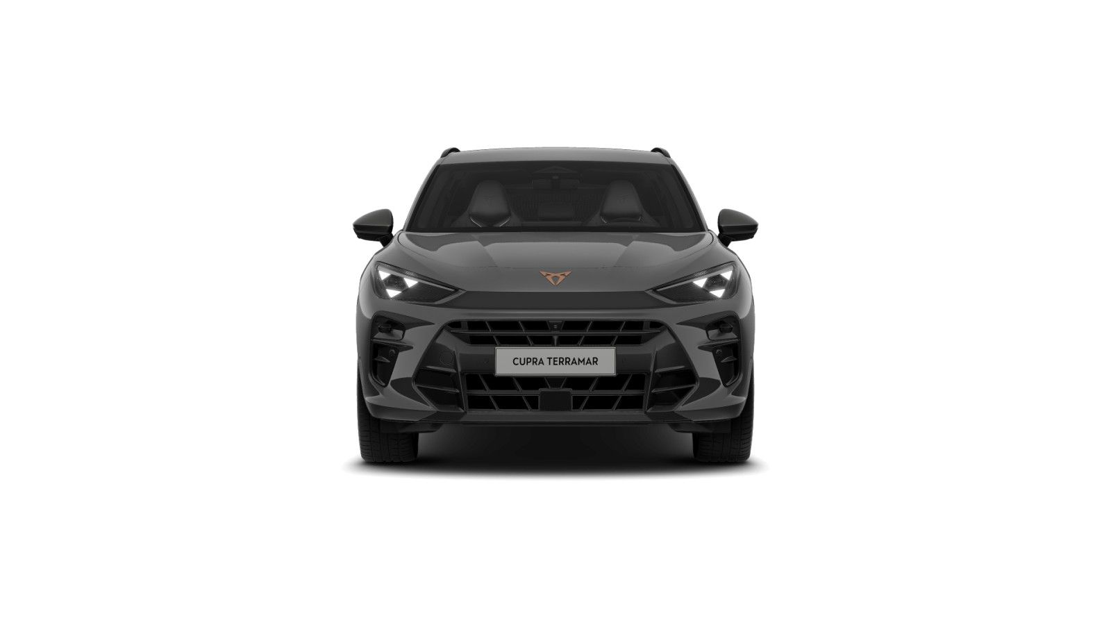 Cupra Terramar - Bild 2