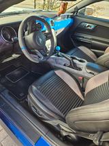 Ford Mustang 5.0 Ti-VCT V8 GT Auto GT - blaue Ford Mustang