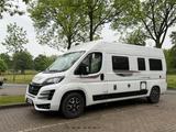 Roller Team Livingstone 2 Prestige  - Roller Team Kastenwagen