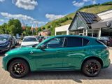 Alfa Romeo Stelvio Quadrifoglio 2.9 Q4 Assistenz-Paket H&K - Alfa Romeo: Grün