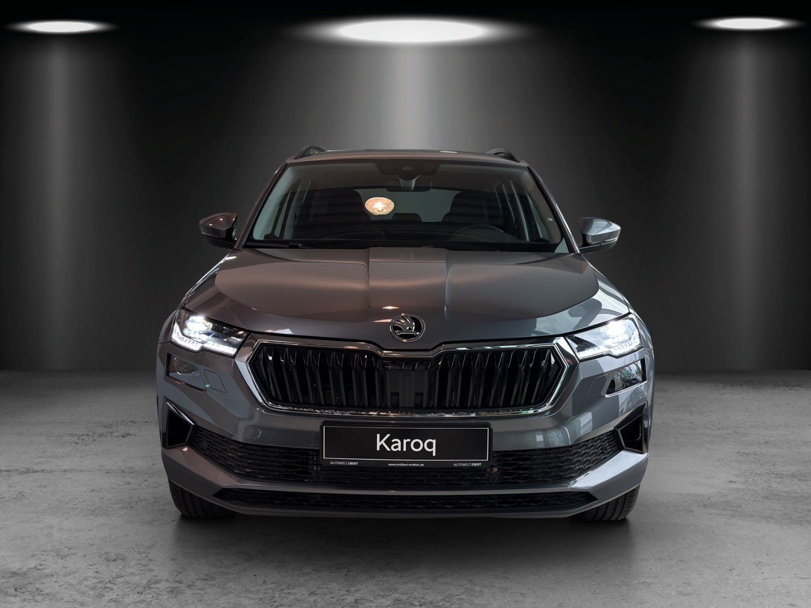 Fahrzeugabbildung SKODA Karoq Tour 1,5 TSI 110 kW DSG