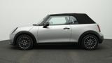 MINI Cooper C Cabrio - MINI Jahreswagen: Cabrio