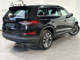 Skoda Kodiaq 2.0 TDI 4x4 DSG Tour NAV+LED+AHK+CANTON - Skoda Kodiaq: Tour