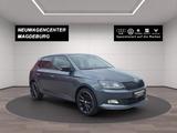 Skoda Fabia 1.0 TSI Monte Carlo*PANORAMA*SHZ*LED*NAVI* - Skoda Fabia mit Panoramadach