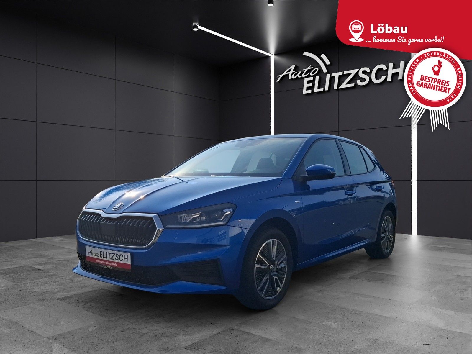 Fahrzeugabbildung SKODA Fabia TSI Tour LED Navi GRA RFK SH