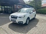 Subaru Forester 2.0X Exclusive+ Lineartronic - gebrauchte Subaru Forester aus dem Jahr 2019