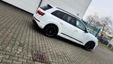 Audi Q7 50 TDI quattro tiptronic S line S line - Audi Q7 in Bonn