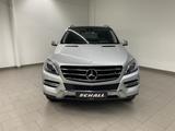 Mercedes-Benz ML 250 BT 4M  SPORT INT+PANO+AHK+ILS+COMAND+360° - Mercedes-Benz ML 250 Gebrauchtwagen