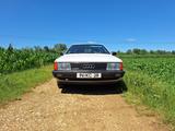 Audi 100 Avant 2,3 quattro 5-Zylinder C3 Typ44 1.Hand - Audi 100: Typ 44