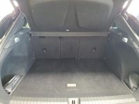 Cupra Terramar - Vorschau Bild 6