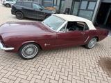 Ford Mustang Burgundy 1965 6 cilinder convertible - Ford Mustang aus 1965: Cabrio