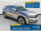 Skoda Kodiaq 1.5 TSI DSG Selection 7Si AreaView Matrix - Skoda Kodiaq Tageszulassungen