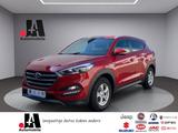 Hyundai TUCSON (TLE) T-GDI 1.6 Allrad - Hyundai Gebrauchtwagen in Köln
