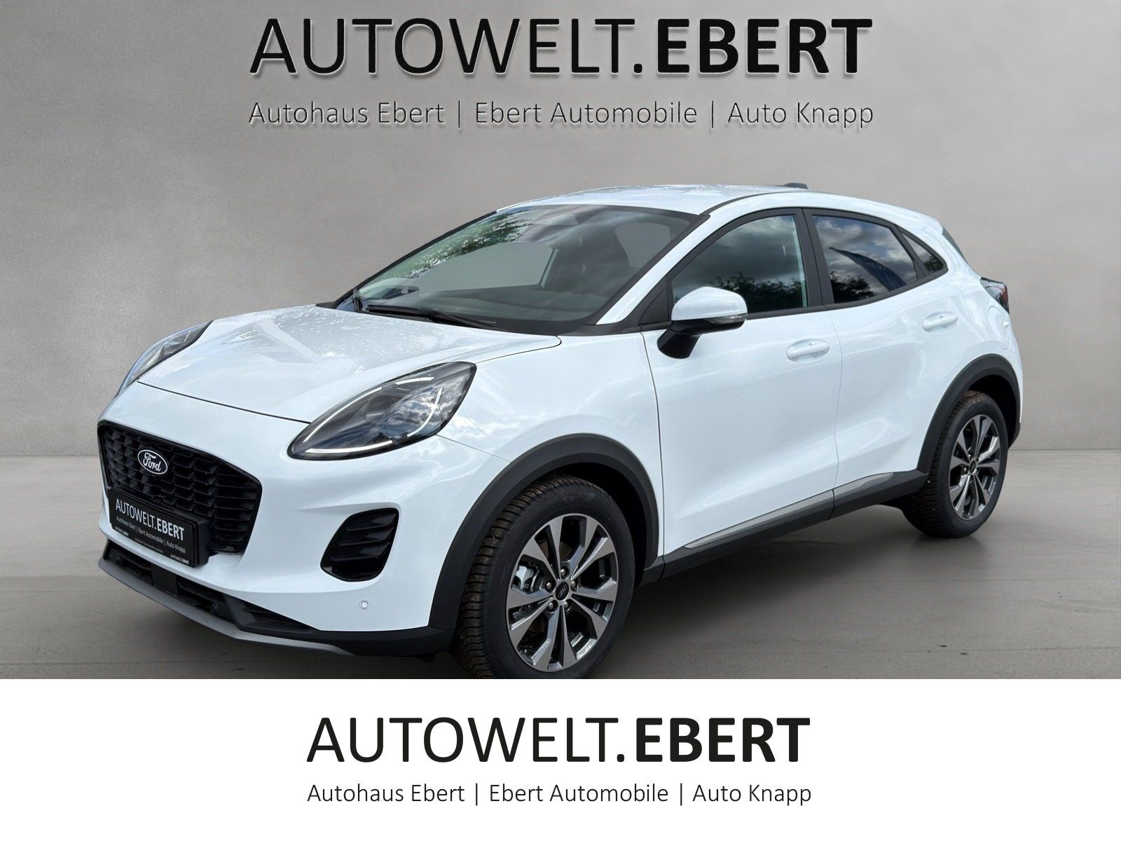 Ford Puma Titanium Navigation AHK Ganzjahresreifen